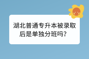 湖北普通专升本被录取后是单独分班吗？