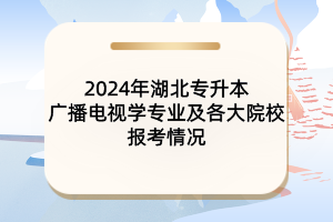 2024年湖北专升本广播电视学专业及各大院校报考情况