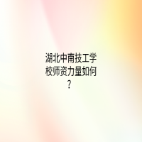 湖北中南技工学校师资力量如何？