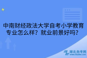 中南财经政法大学自考小学教育专业怎么样？就业前景好吗？