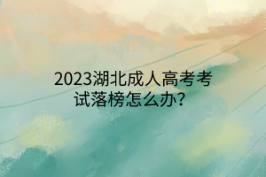 2023湖北成人高考考试落榜怎么办？