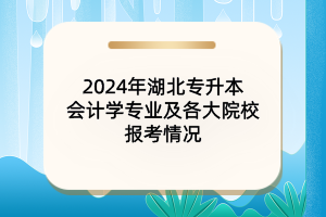 2024年湖北专升本会计学专业及各大院校报考情况