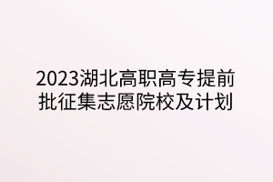2023湖北高职高专提前批征集志愿院校及计划