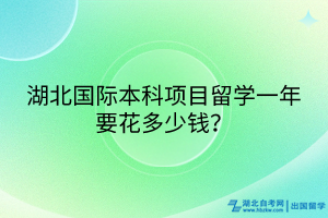 湖北国际本科项目留学一年要花多少钱？