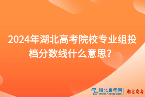 2024年湖北高考院校专业组投档分数线什么意思？