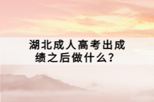 湖北成人高考出成绩之后做什么？