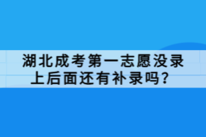 湖北成考第一志愿没录上后面还有补录吗？