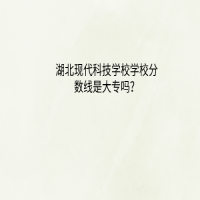 湖北现代科技学校学校分数线是大专吗？