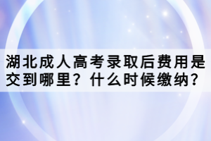 湖北成人高考录取后费用是交到哪里？什么时候缴纳？