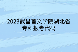 2023武昌首义学院湖北省专科报考代码