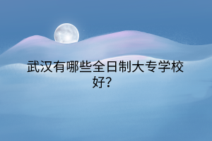 武汉有哪些全日制大专学校好？