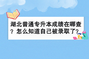 湖北普通专升本成绩在哪查？怎么知道自己被录取了？