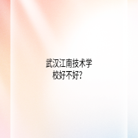 武汉江南技术学校好不好？