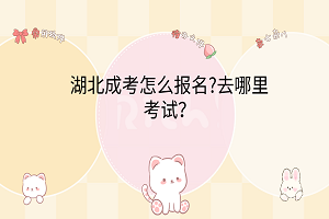 湖北成考怎么报名?去哪里考试？