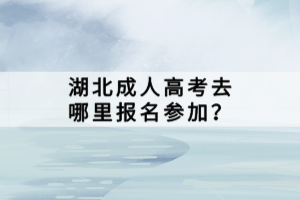 湖北成人高考去哪里报名参加？