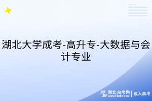 湖北大学成考-高升专-大数据与会计专业