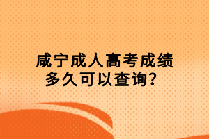 咸宁成人高考成绩多久可以查询？