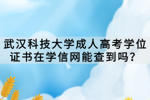 武汉科技大学成人高考学位证书在学信网能查到吗？