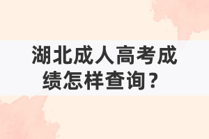 湖北成人高考成绩怎样查询？