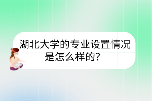 湖北大学的专业设置情况是怎么样的？