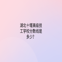 湖北十堰高级技工学校分数线是多少？
