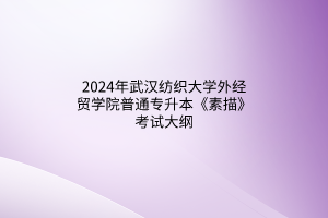​2024年武汉纺织大学外经贸学院普通专升本《素描》考试大纲