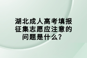 湖北成人高考填报征集志愿应注意的问题是什么？