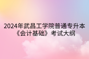 2024年武昌工学院普通专升本《会计基础》考试大纲