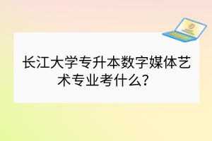长江大学专升本数字媒体艺术专业考什么？