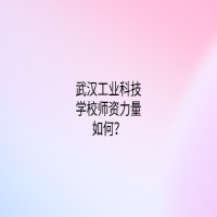 武汉工业科技学校师资力量如何？