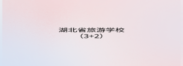 湖北省旅游学校（3+2）