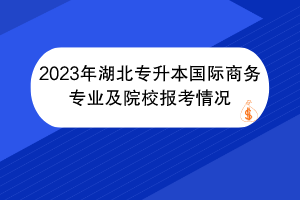 2023年湖北专升本国际商务专业及院校报考情况