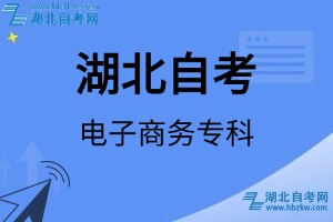 湖北自考电子商务专科专业考试科目_课程学分设置_教材目录一览表