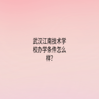 武汉江南技术学校办学条件怎么样?