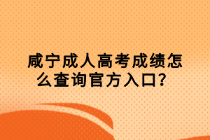 咸宁成人高考成绩怎么查询官方入口？