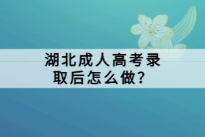 湖北成人高考录取后怎么做？