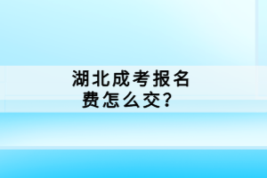 湖北成考报名费怎么交？