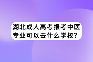 湖北成人高考报考中医专业可以去什么学校？