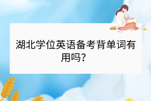 湖北学位英语备考背单词有用吗？