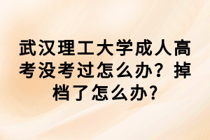 武汉理工大学成人高考没考过怎么办？掉档了怎么办?