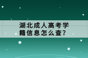 湖北成人高考学籍信息怎么查？