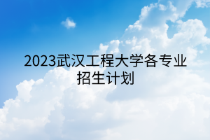 2023武汉工程大学各专业招生计划