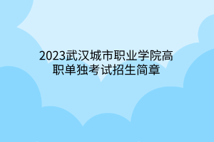 2023武汉城市职业学院高职单独考试招生简章