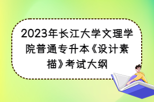 2023年长江大学文理学院普通专升本《设计素描》考试大纲