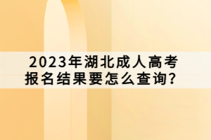 2023年湖北成人高考报名结果要怎么查询？