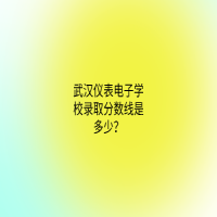 武汉仪表电子学校录取分数线是多少？