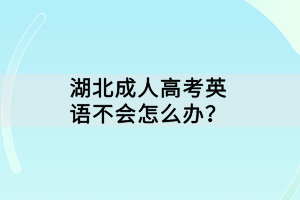 湖北成人高考英语不会怎么办？