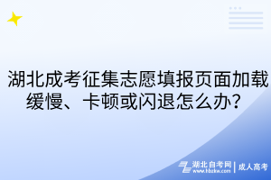 湖北成考征集志愿填报页面加载缓慢、卡顿或闪退怎么办？