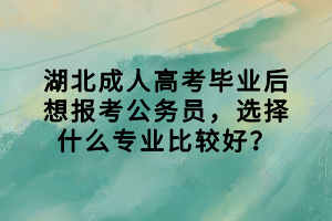 湖北成人高考毕业后想报考公务员，选择什么专业比较好？