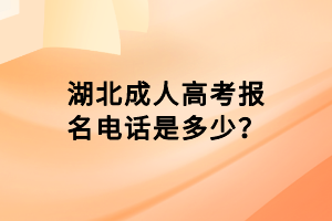 湖北成人高考报名电话是多少？